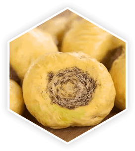prostavive ingredients – maca root for prostate health and vitality